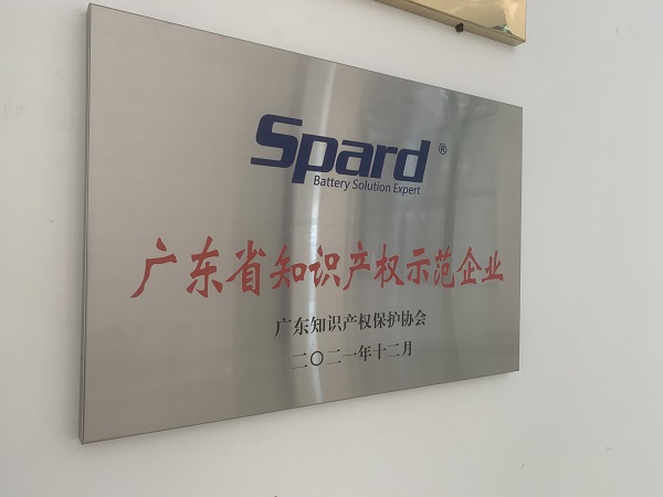 操逼视频免费看新能源荣获2021年度广东省知识产权示范企业