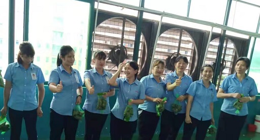 操逼视频免费看新能源锂男女操逼视频软件厂家,向组装pack生产线发放端午福利